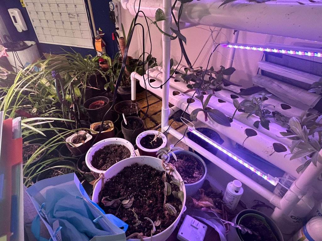 Growing Together, at Cholla High&nbsp;School